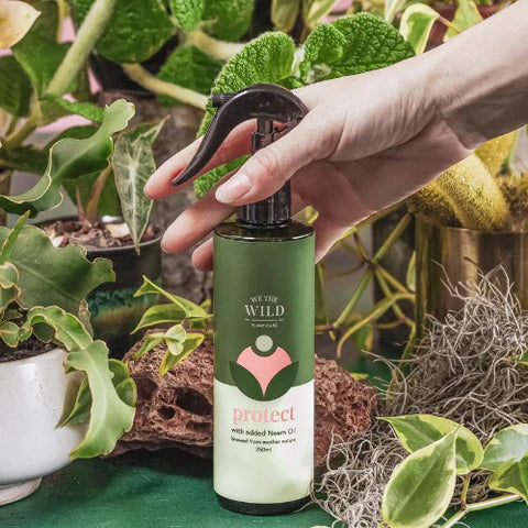 We The Wild - Protect Spray With Neem