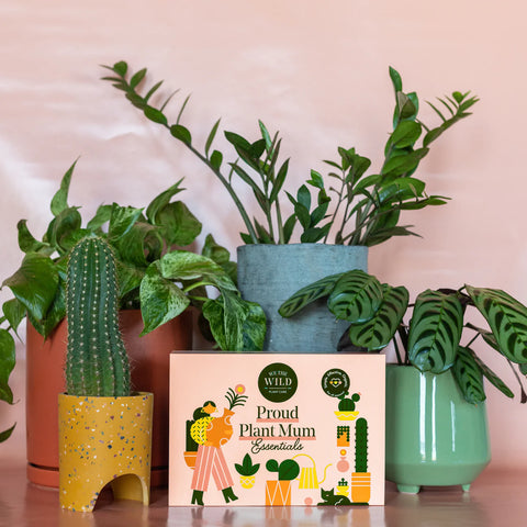 We The Wild - Proud Plant Mum Essentials Kit
