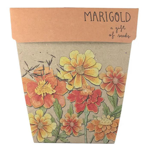 SOW 'N SOW Gift of Seeds Marigolds