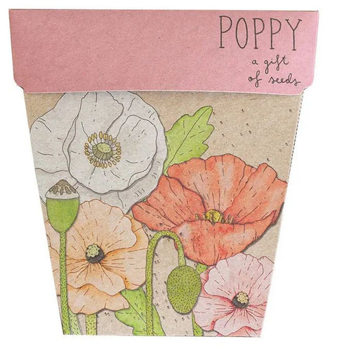 SOW 'N SOW Gift of Seeds Poppy
