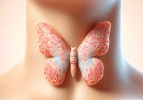🦋 Under Active Thyroid Diaries 🦋