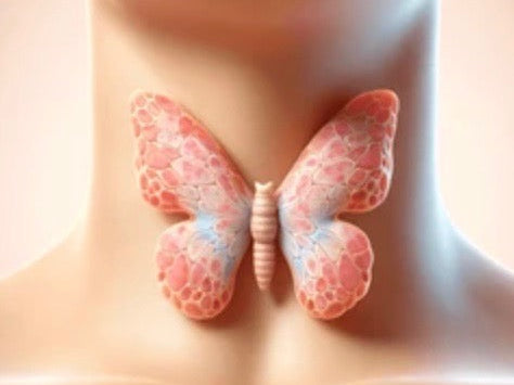 🦋 Under Active Thyroid Diaries 🦋