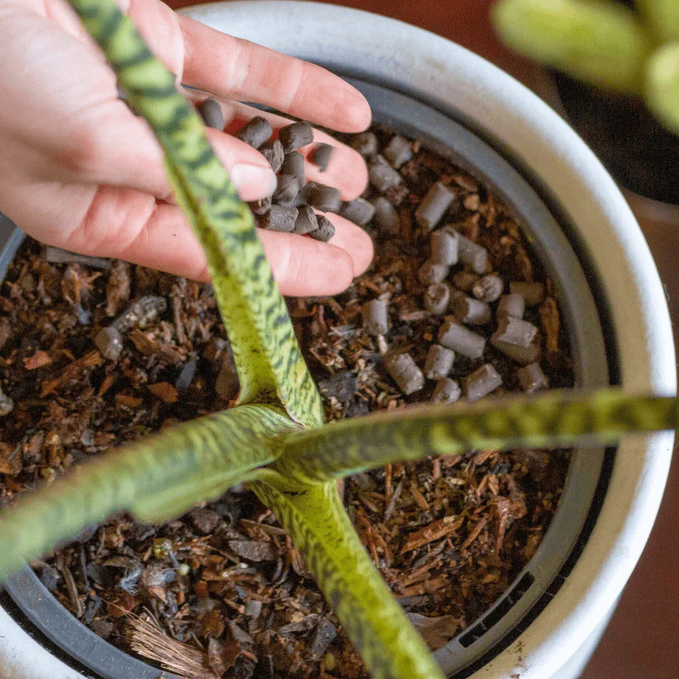 We The Wild - Support Slow Release Pellets