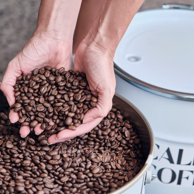 Caldera Coffee | Organic Whole Bean