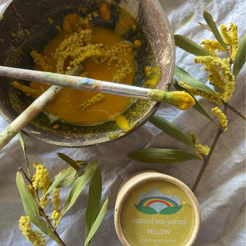 Eco Art and Craft | Eco Paint Set