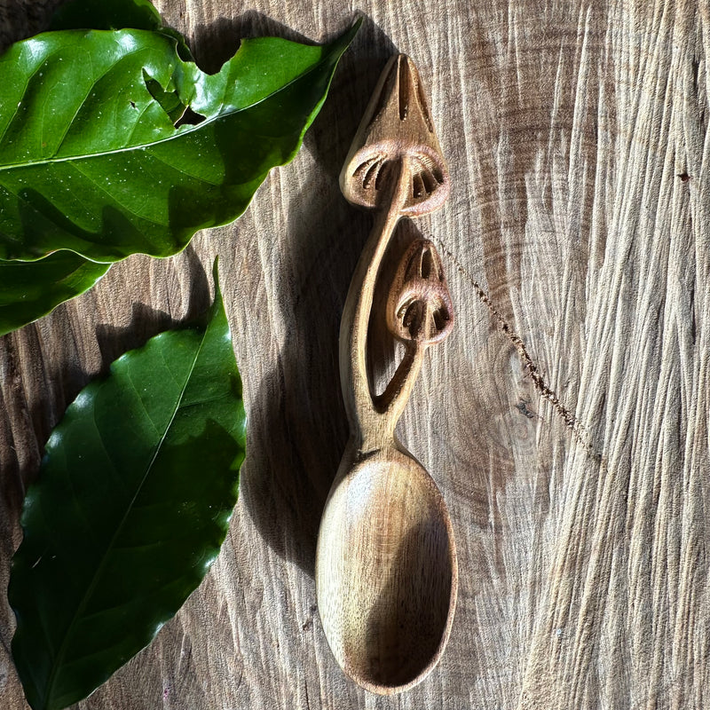 Eco Art & Craft | Shroom Spoon
