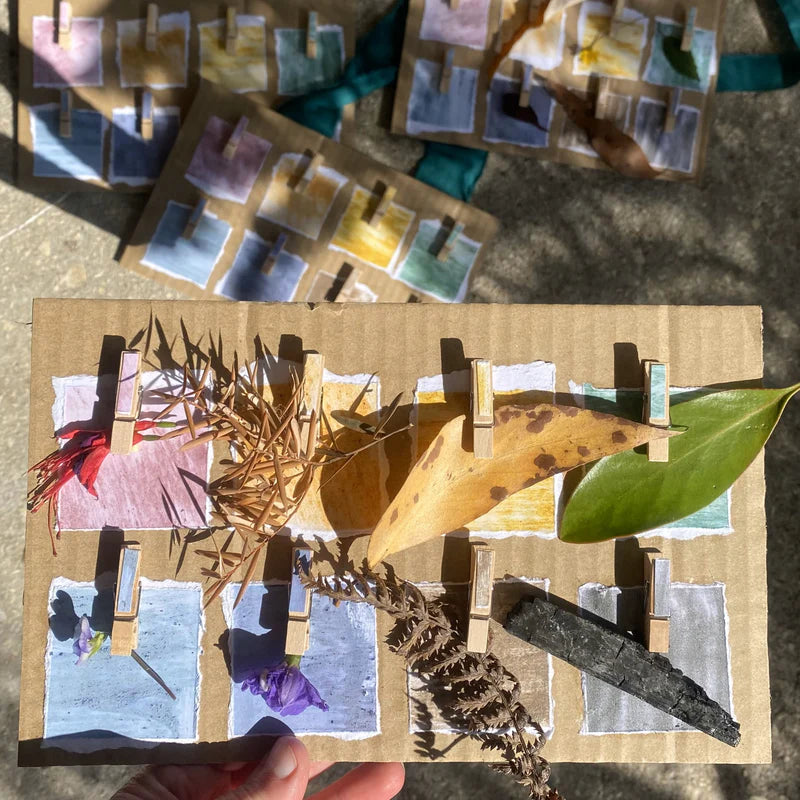 Eco Art and Craft | Eco Paint Set