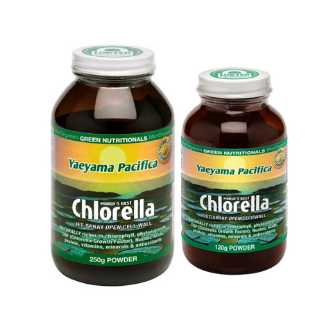 Green Nutritionals Yaeyama Pacifica Chlorella Powder