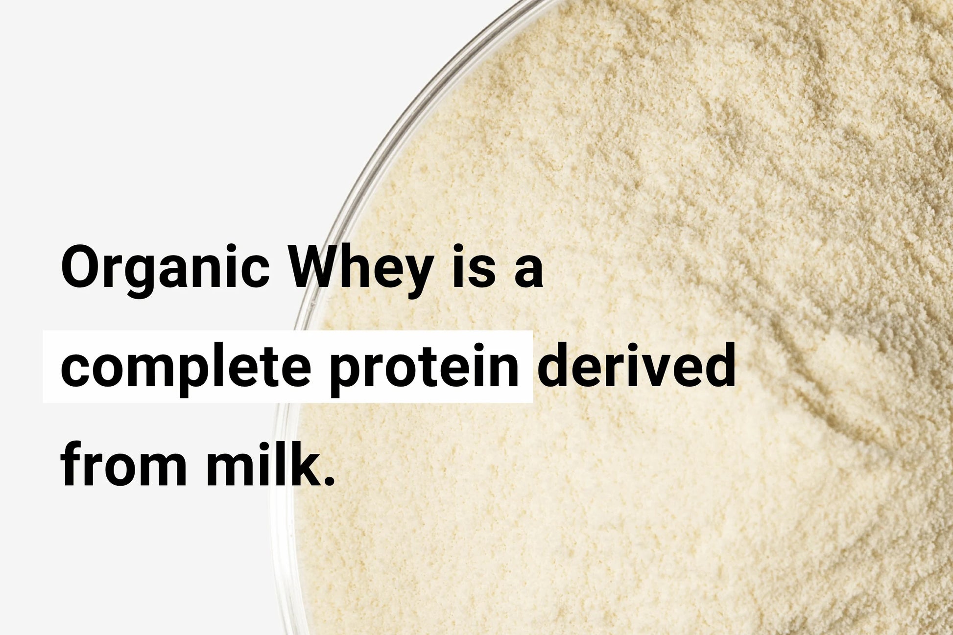 Cell Squared | Certified Organic Whey Protein Powder 1kg
