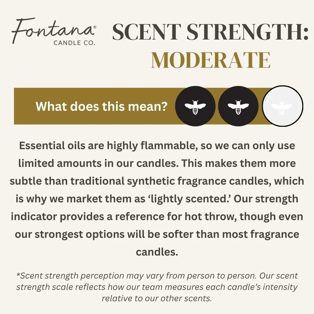 Fontana Candle Co. | Spiced Latte | Beeswax & Essential Oil Noir Black Glass Candle