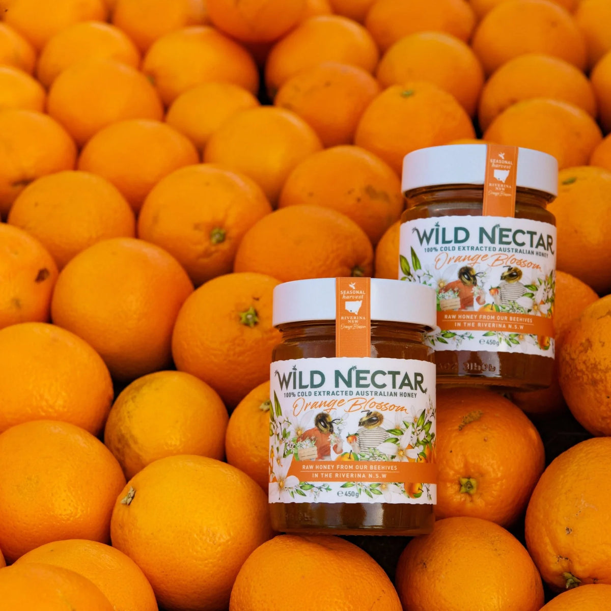 Wild Nectar | Orange Blossom Honey