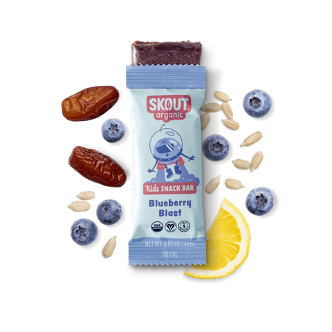 Skout Organic Blueberry Blast Kids Bar x 6