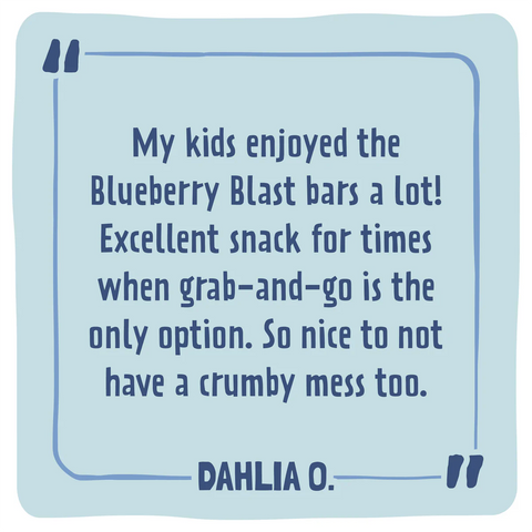 Skout Organic Blueberry Blast Kids Bar x 6