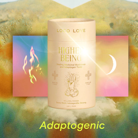 Loco Love-  Higher Being Tonic - Healing Medicinal Mushroom & Healing Tonic