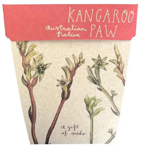 SOW 'N SOW Gift of Seeds Kangaroo Paw