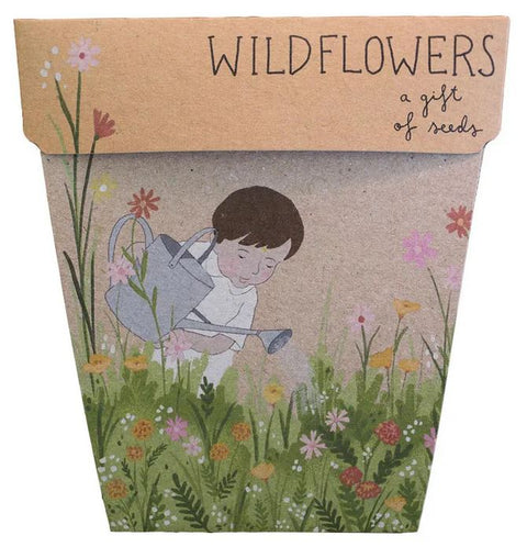 SOW 'N SOW Gift of Seeds Wildflowers