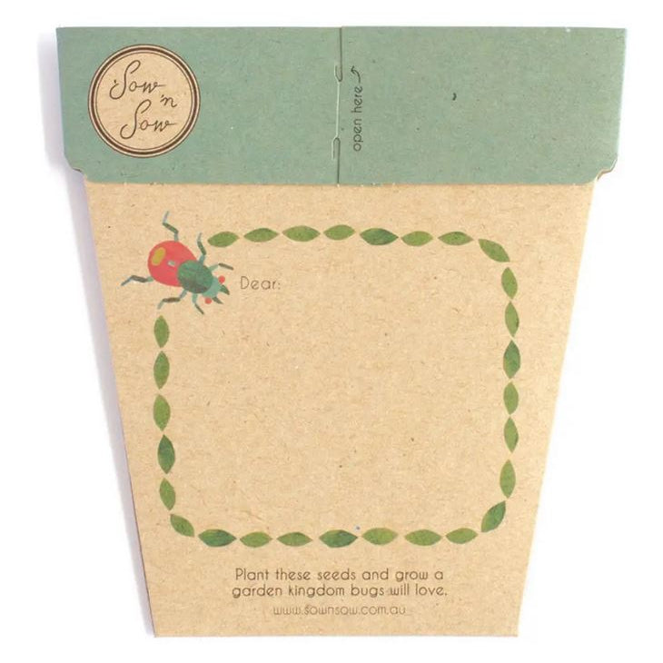 SOW 'N SOW Gift of Seeds Bug Wonderland