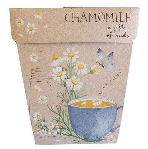 SOW 'N SOW Gift of Seeds Chamomile