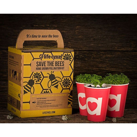 Life Cykel Bee Pollination Grow Kit