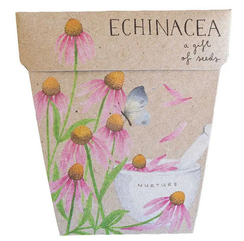 SOW 'N SOW Gift of Seeds Echinacea