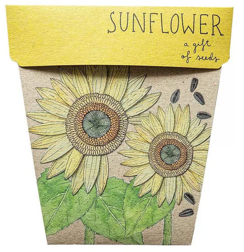 SOW 'N SOW Gift of Seeds Sunflower